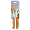 Victorinox Kuhinjski Noz Ravni Set 2/1 8cm Nar. 6.7606.L119B