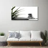 tulup.si Slika na steklu Grass grafike 120x60 cm 2 obešalnika