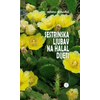 Sestrinska ljubav na halal-dijeti