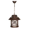 Opviq Spoljna lampa BFE-68199-BKR, 56 cm, Viseća, E27, 60W, IP65, Braon