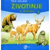 Moje omiljene životinje iz divljine 2