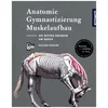 Anatomie, Gymnastizierung, Muskelaufbau