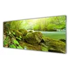 tulup.si Slika na akrilnem steklu Lake river narava 125x50 cm 2 obešalnika