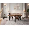 Hanah Home Trpezarijski sto Gala-3022, 180x80x79 cm, Orah