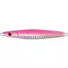 Rapture ASAMI CASTING JIG 110mm 60gr PINK