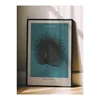 WallXpert uramljena slika 115211, The Black Peacock Ohare Kosona, crni paun, tirkizna pozadina, 30 x 40 cm, crni ram