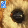 The Wombats - Oh The Ocean (Indie Exclusive) (Clear Coloured) (LP)