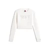 Tommy Jeans Pulover bež/mornarska/rdeča/bela