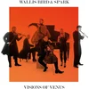 Spark - Visions Of Venus (LP)