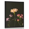 Slika elegantne rože na temnem ozadju - 20x30 black
