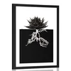 Plakat s paspartujem nesmrtnost rastline - 30x45 no frame