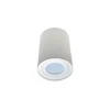 Spot svetlo CRIKO 1xGU10/30W/230V belo