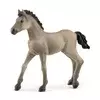 Schleich Horse Club 13949 Criollo Definitivo - žrebiček