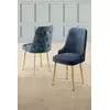 Hanah Home Set stolica Newa, 46x94x46 cm, 2 komada, Zlatno-plave boje