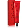 Schwarzkopf Igora Royal Raw Essentials - 5-21 Ashy Cedar