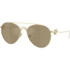 Giorgio Armani Naočare za sunce AR 6167 30130W