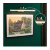 Paulmann 95570 - LED/11W Lampa za slike RENAN 230V 60 cm mesing