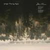 Under The Surface - Miin Triuwa (LP)