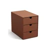 Organizator za pisalno mizo Bigso Box of Sweden rjava barva