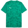 Puma Dres teamULTIMATE Jersey