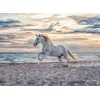 Ravensburger Puzzle Cval 500 kosov