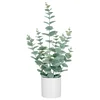 Mömax Umetna Rastlina Eukalyptus Ii -Paz-