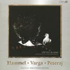 Pavol Hammel / Varga / Peteraj - Všetko je inak (Reissue) (Remastered) (CD)