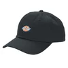 Dickies HARDWICK BLACK Črna