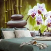 Fototapeta spa tihožitje - 196x132