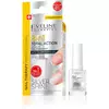 EVELINE Zaštitni lak za nokte Silver shine, 8u1, 12ml