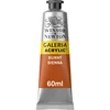 Akrilna barva rjava 60 ml Winsor & Newton