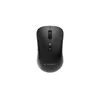 GEMBIRD MUSW2-7B-01, Bezicni opticki mis Bluetooth 5.1 + 2.4 GHz
