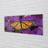 tulup.si Steklena slika Pisane metulj rože 140x70 cm 2 obešalnika