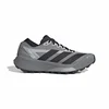 Adidas TERREX AGRAVIC GTX 2, muške patike za trail trčanje, siva ONG37