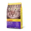 Josera Culinesse - granule 31/13 - hrana za izbirljive mačke sa lososom 10kg