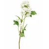 Dekordom Cvet elder 1183181/3 - white - edl ( 044763 )