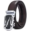 Pas Bruno - Rjava / Srebrna KP34903