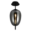 Plafonska lampa F4014-1C BK+SM