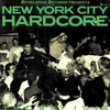 Various Artists - New York City Hardcore - The Way It Is (LP)