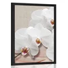 Plakat bela orhideja na platnu - 30x45 silver