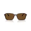 Ray-Ban Raimond Naočare za sunce RB 2231 902/57