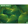 Puls Entertainment Meister-Puzzle 3: Listje 500 kosov