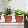 Okrugla saksija za cveće 24 pcs Crvena cigla O 22 x 18 cm