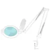 Eprim Glow Moonlight 8013/6 bela LED povečevalna svetilka za namizje