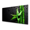 tulup.si Steklena slika Bamboo listi rastlin 125x50 cm 2 obešalnika