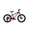 CAPRIOLO MTB LC 200 20 6AL ljubičasta ?925518-11