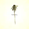 Patrick Watson - Wooden Arms (Reissue) (140 g) (LP)