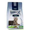 Happy cat culinary adult,Jagnjetina