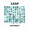 Leap - Entropy (White Coloured) (LP)