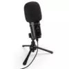 ZOOM ZUM-2 | Dynamic Large Diaphragm Usb Microphone